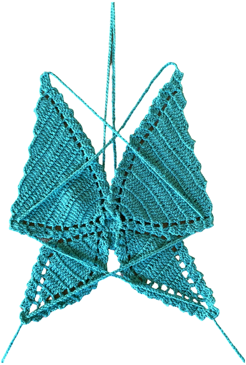 Butterfly Top